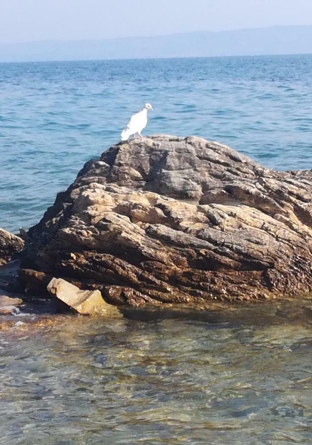 Apartmani Antonia Nakic -Stobrec Spalato Esterno foto